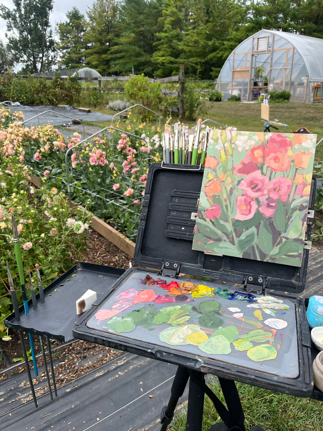 After the Rain, Lisianthus