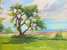 Load image into Gallery viewer, Lake Views - Doris McCarthy’s Home
