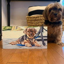 Load image into Gallery viewer, 6x12 Pet Portrait
