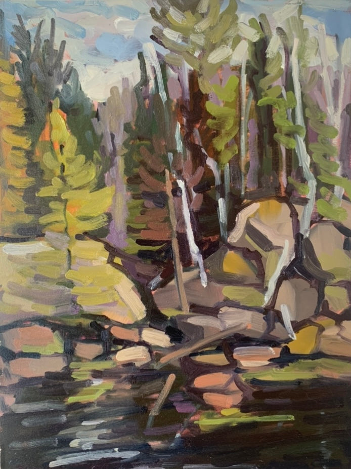 Algonquin in the Spring // 9”x12”